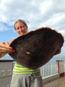 Hvordan skjedde dette?